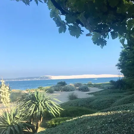 Belle Oceane *